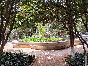 Kunming - Universite du Yunnan (43)